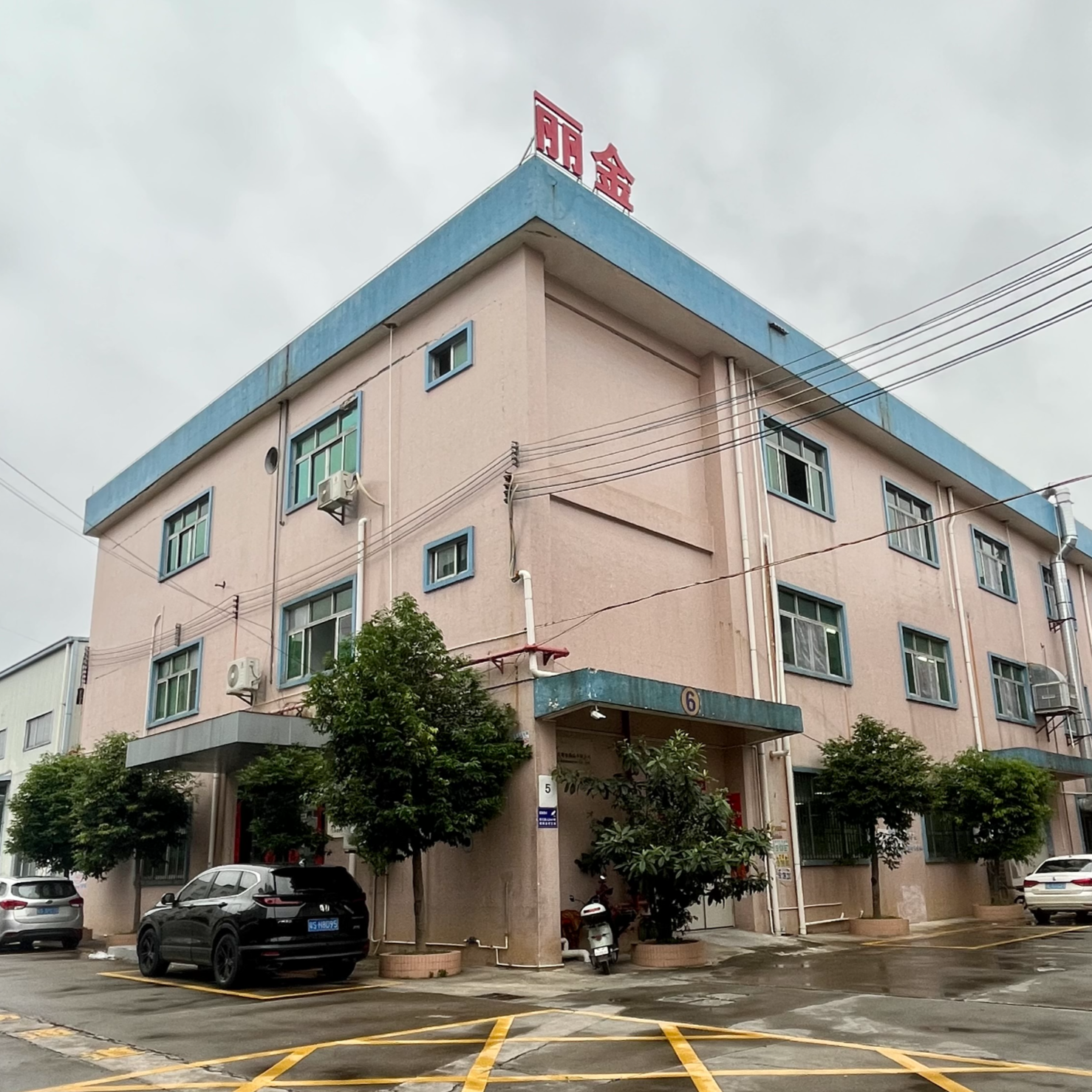 东莞丽金饰品有限公司