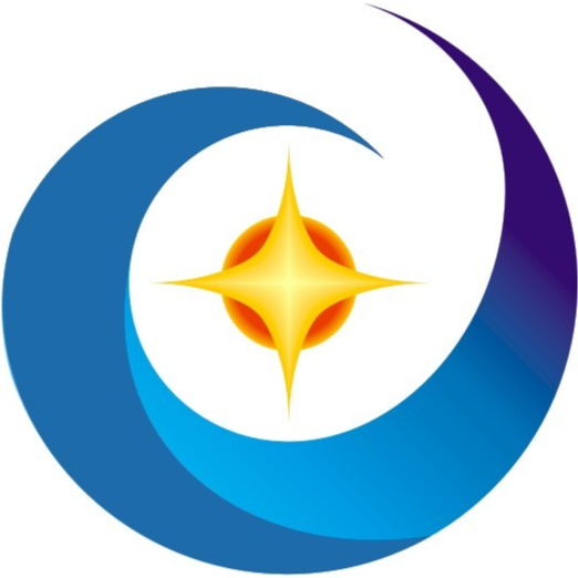 深圳市博视科技有限公司招聘logo