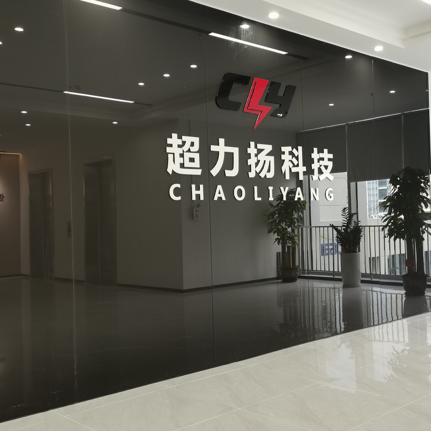 深圳市超力扬科技发展有限公司