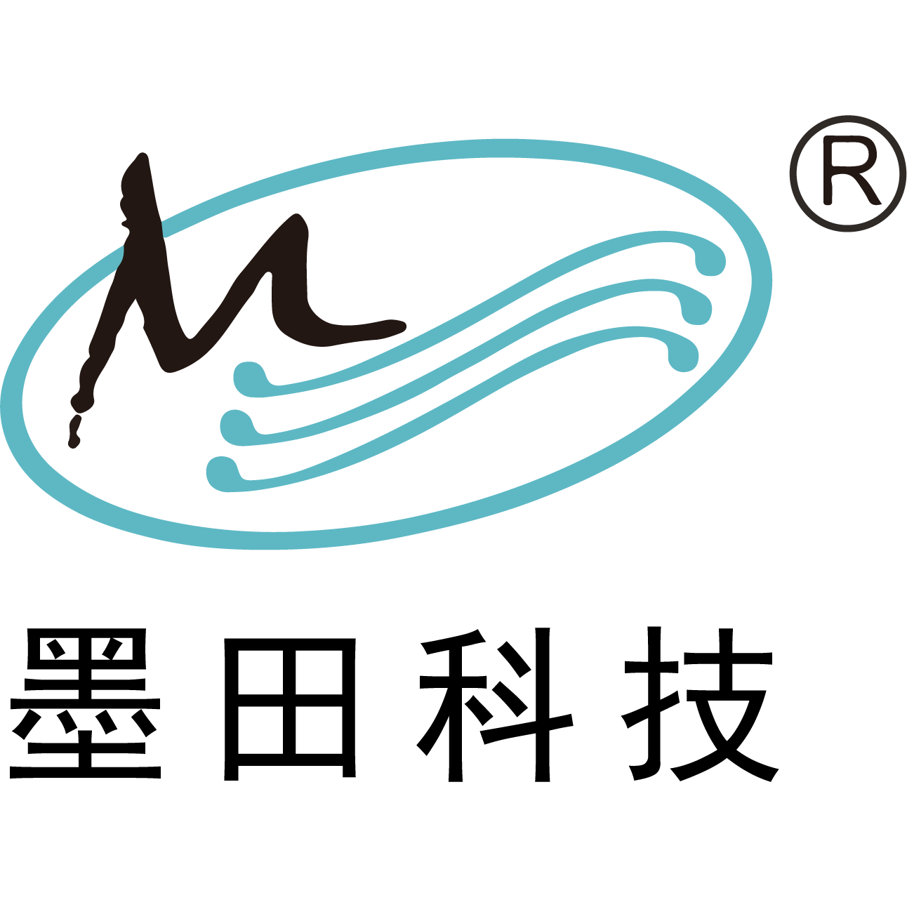 广东省墨田科技有限公司招聘logo