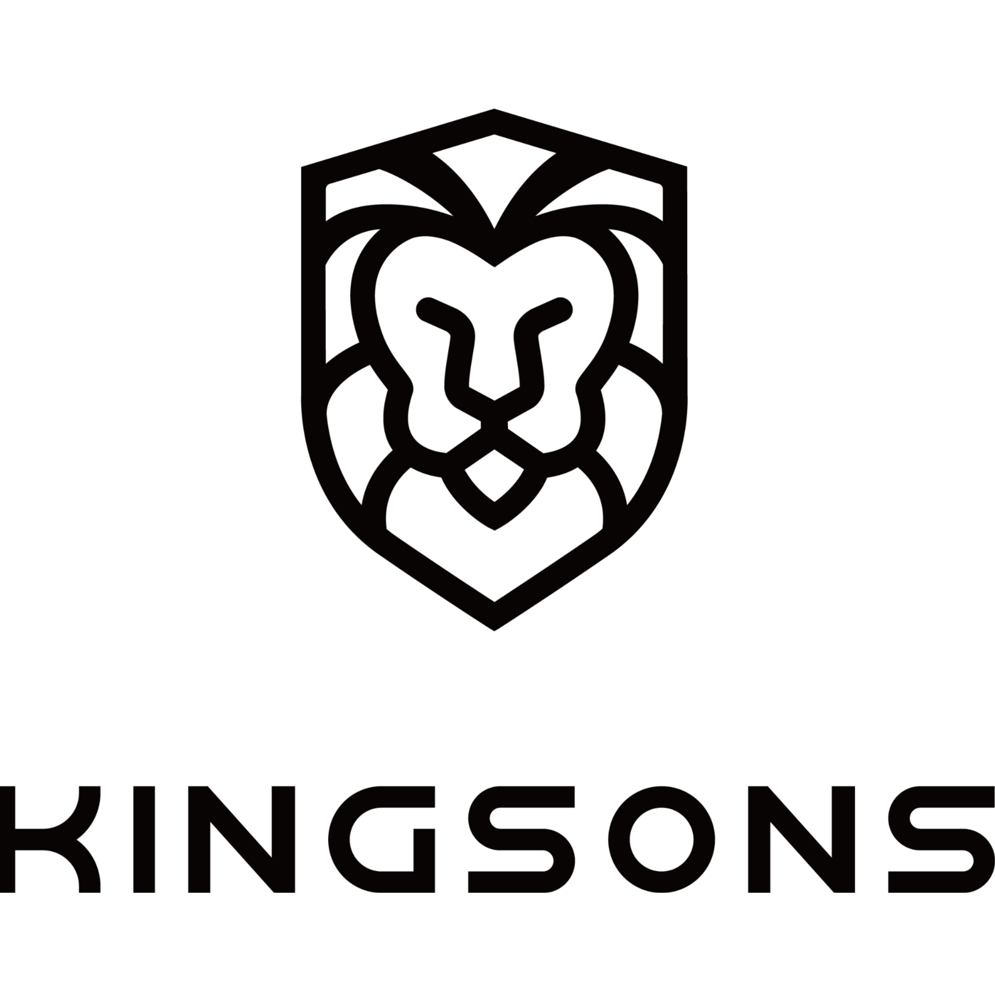 广州市金圣斯箱包科技有限公司