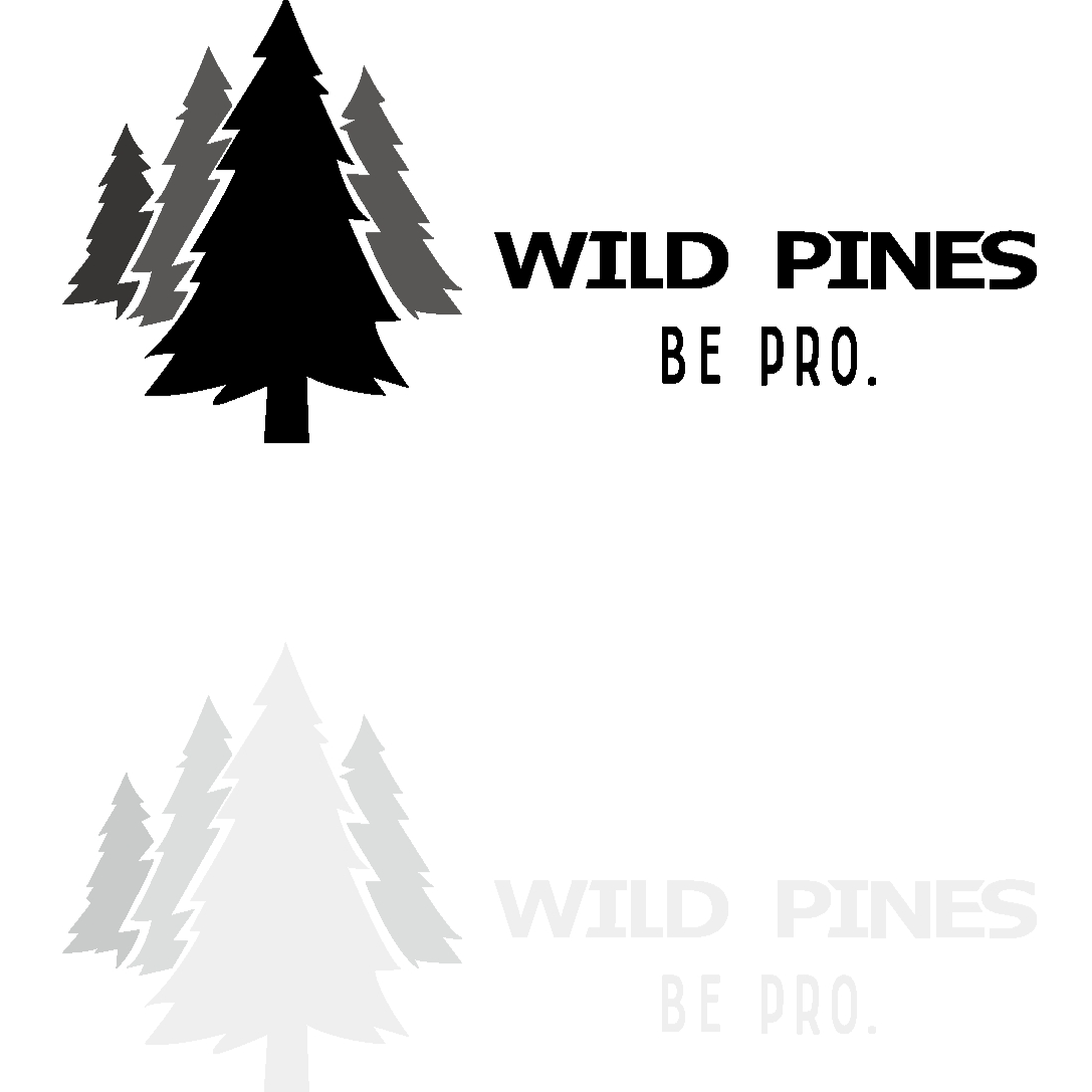 东莞野松电子工业有限公司