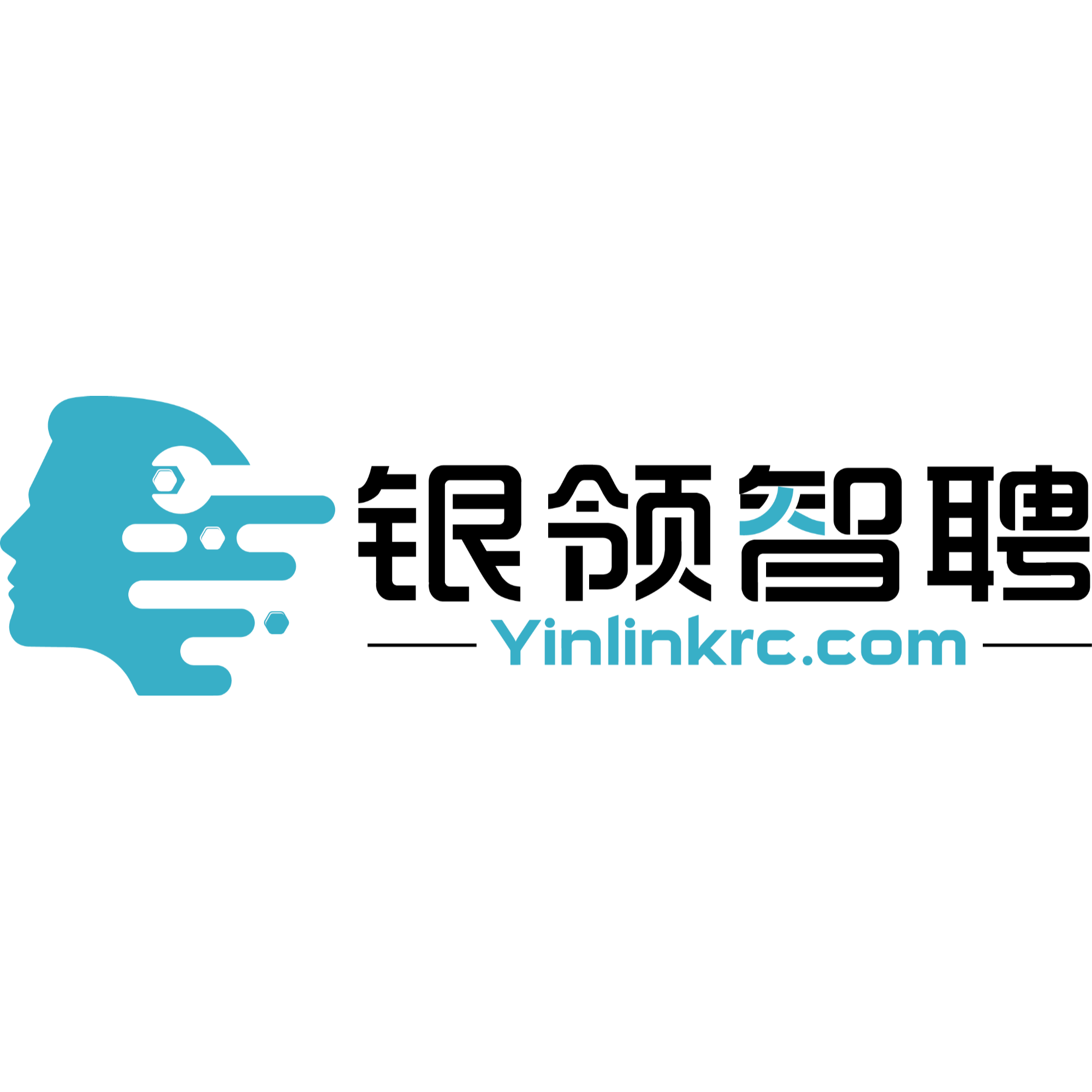 上海银领智造科技服务有限公司招聘logo