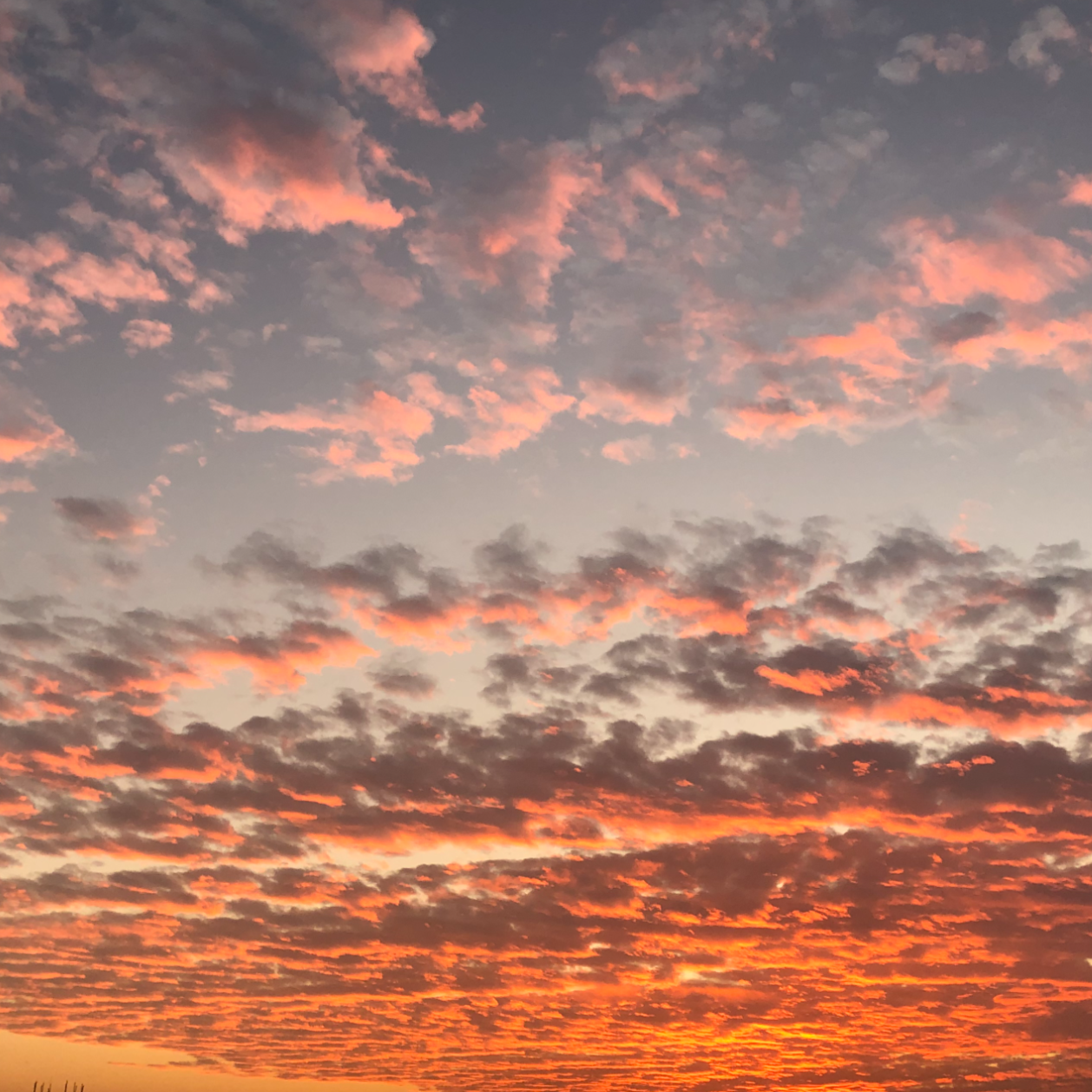 智通人才网新曝光测试