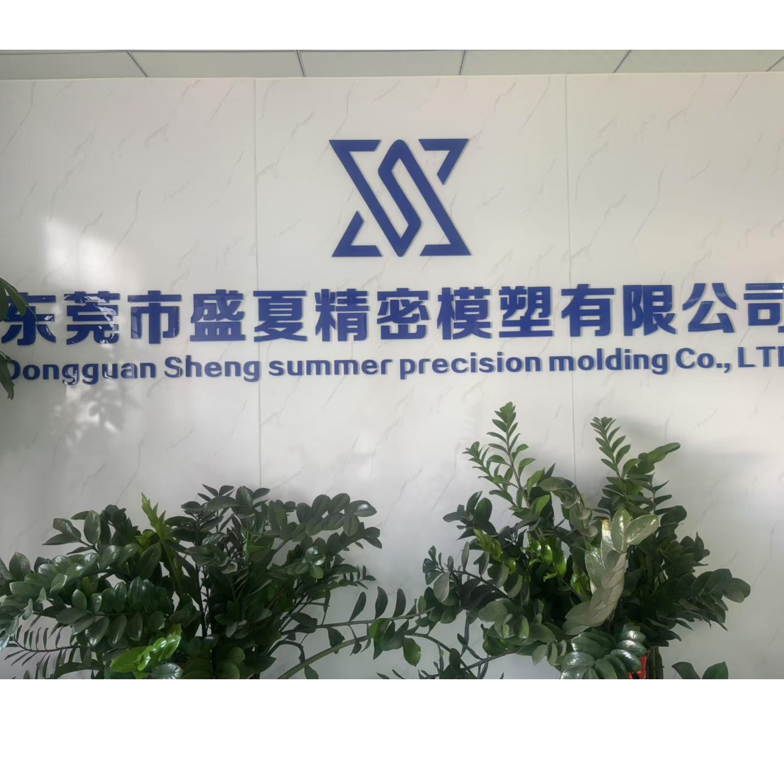 东莞市盛夏精密模塑有限公司LOGO
