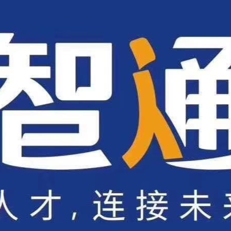 刘苏智通测试有限公司