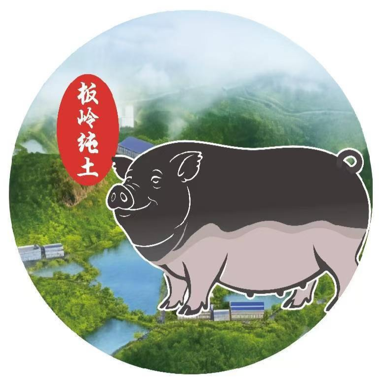 东莞市板岭臻香食品有限公司招聘logo