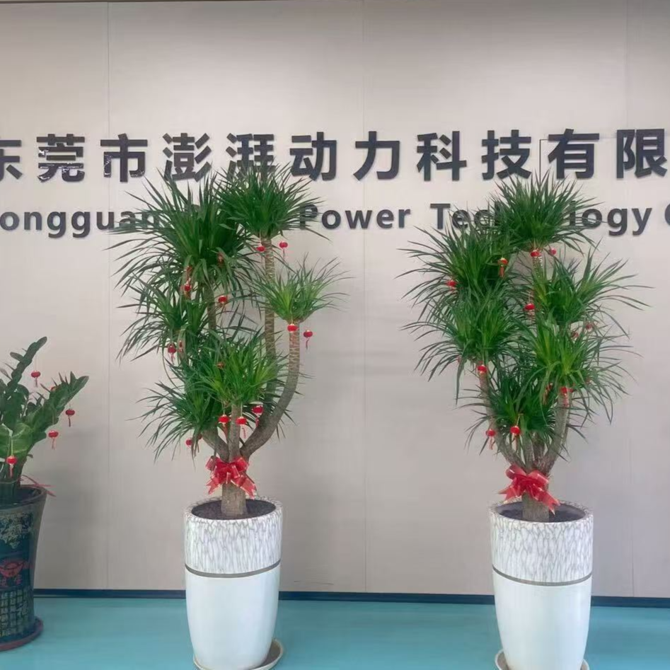 东莞市澎湃动力科技有限公司