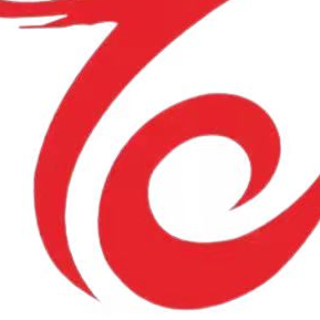 东莞市龙运鞋业有限公司招聘logo