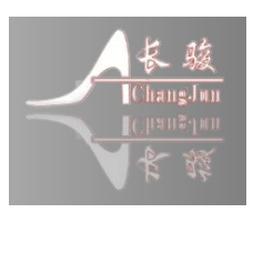 东莞市长骏鞋业有限公司招聘logo