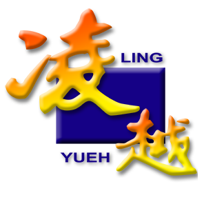 厦门凌越资讯有限公司上海分公司招聘logo