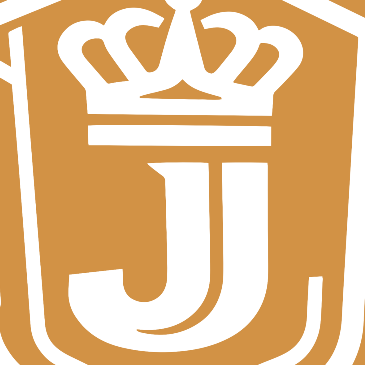 佛山金江光电科技有限公司招聘logo