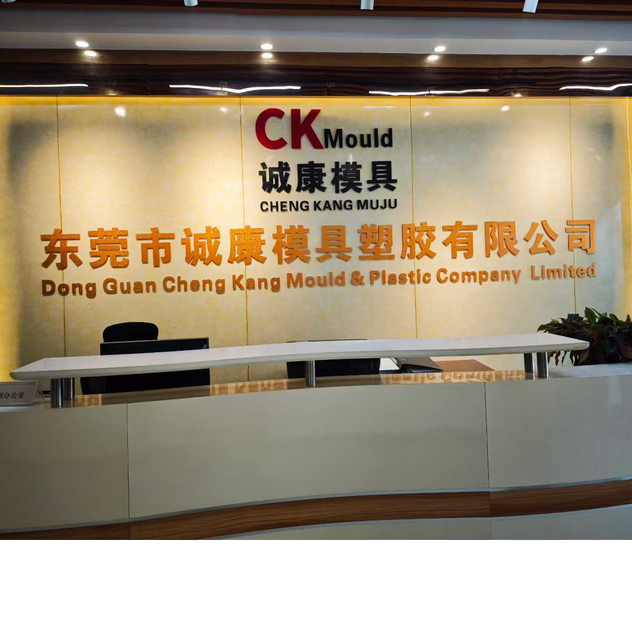 东莞市诚康模具塑胶有限公司