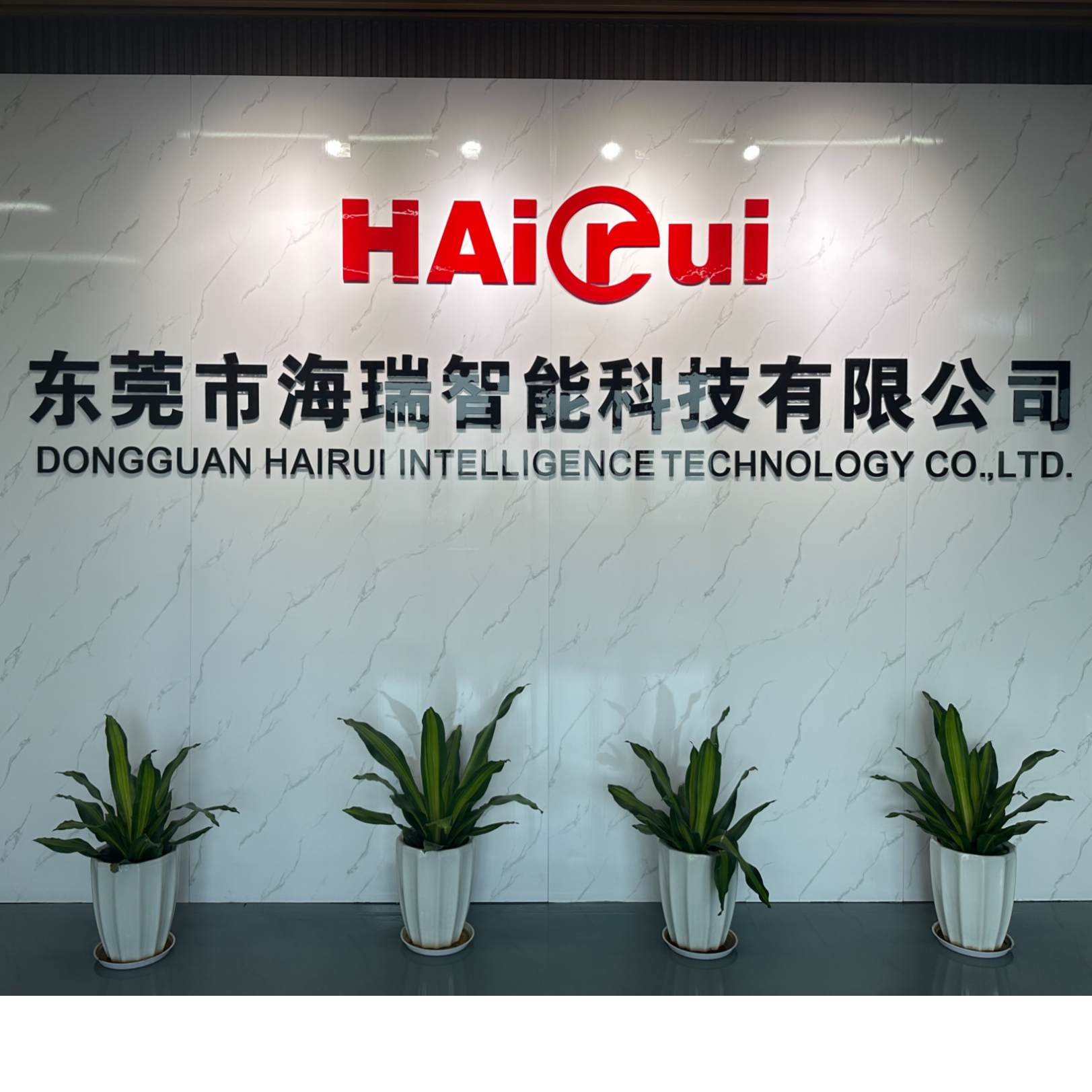 东莞市海瑞智能科技有限公司