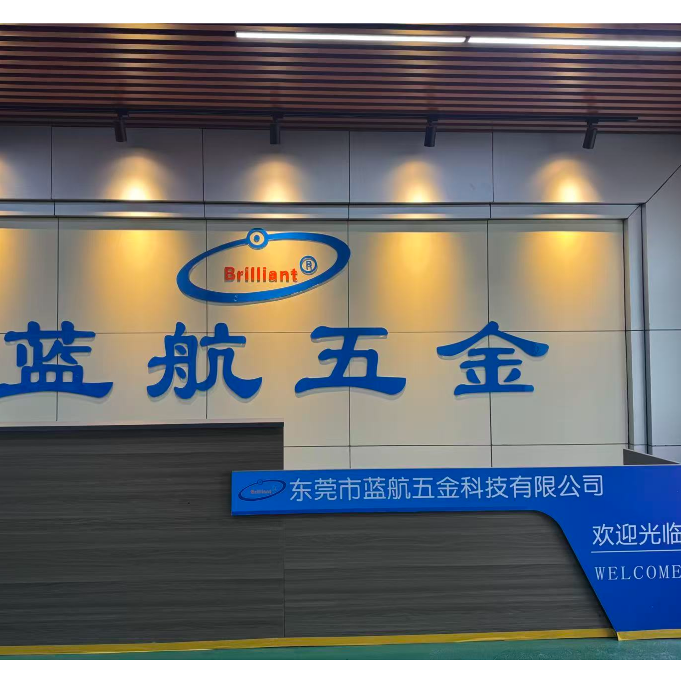 东莞市蓝航五金科技有限公司