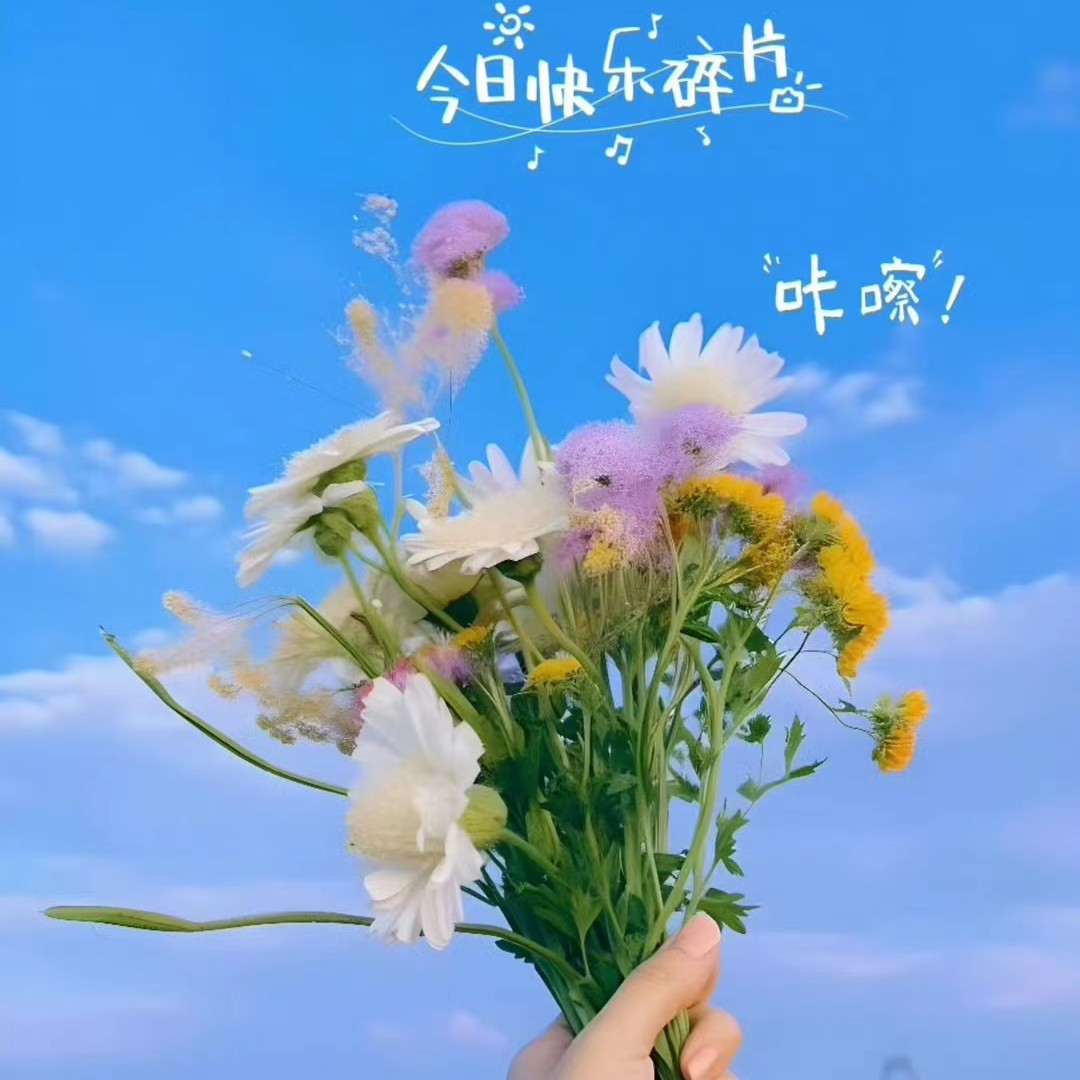 销售储备干部招聘负责人·郝孟于头像