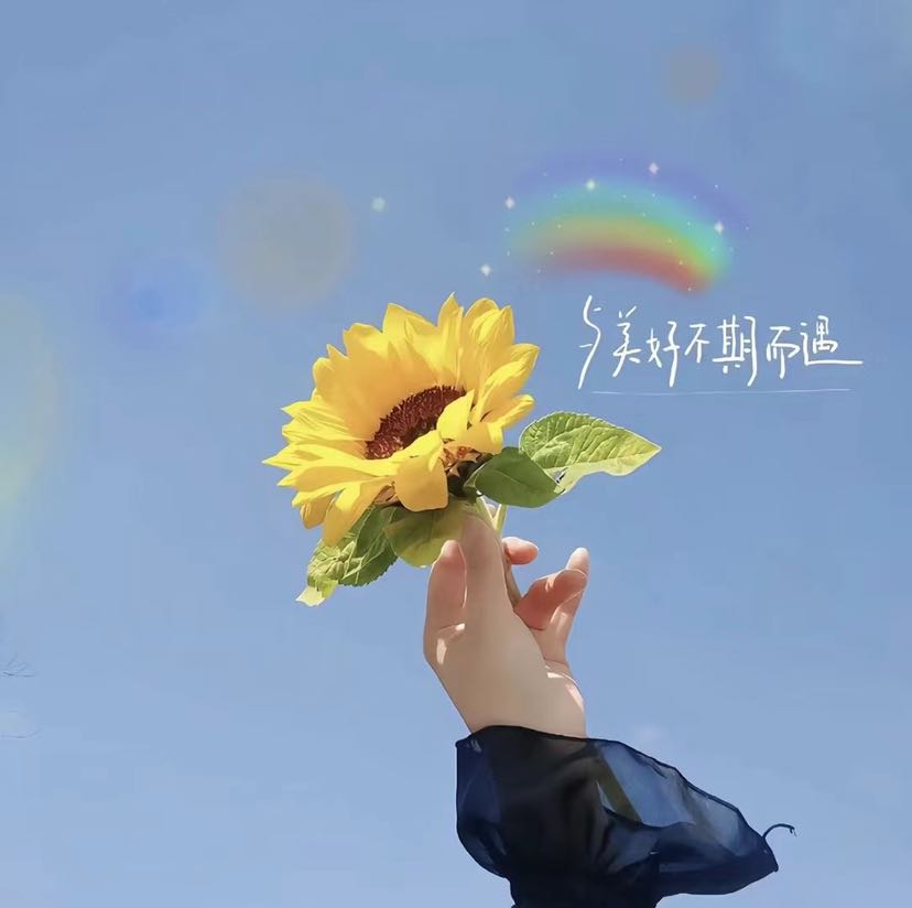 HR头像