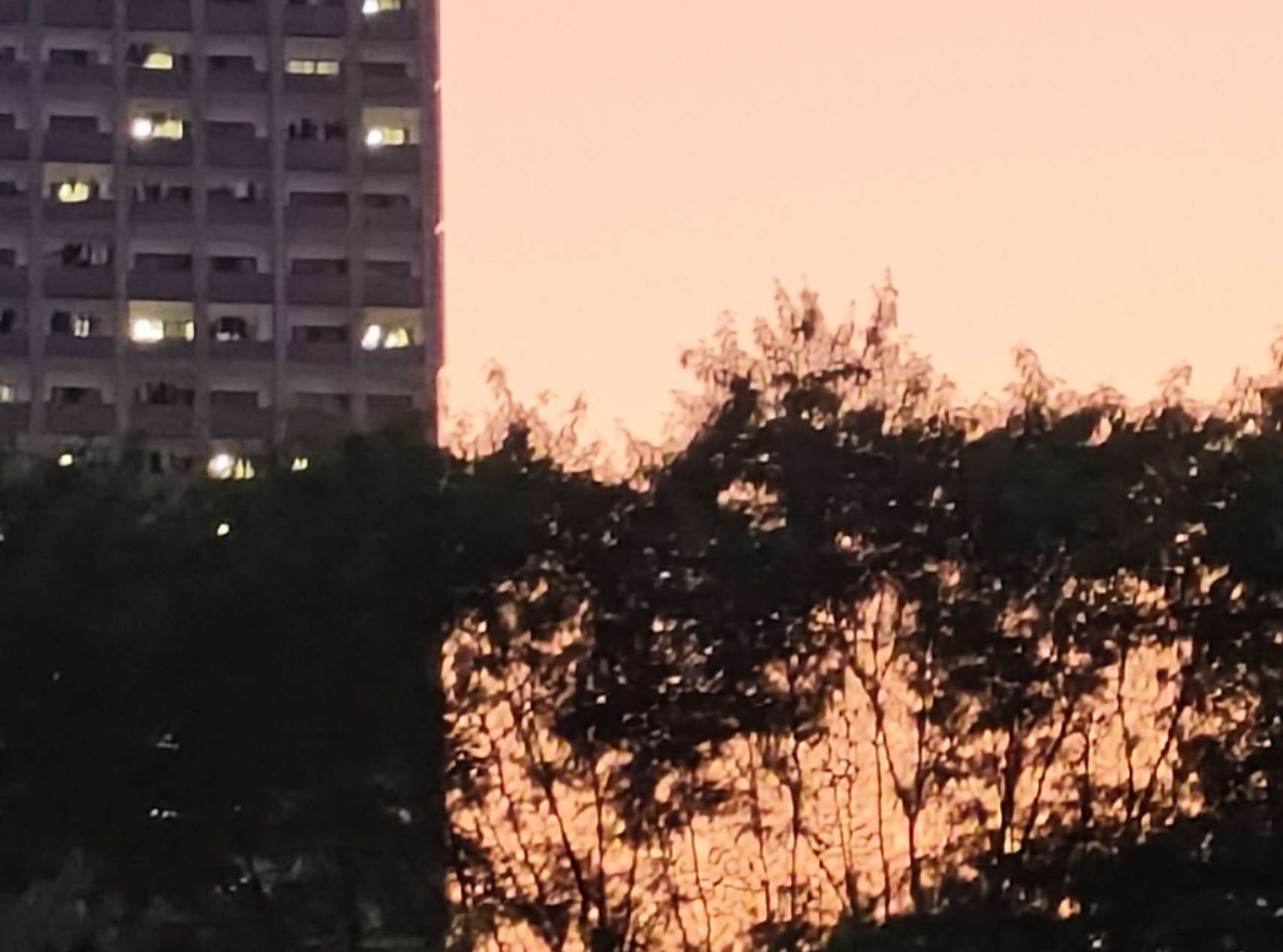 仓库文员招聘负责人·钟小姐头像