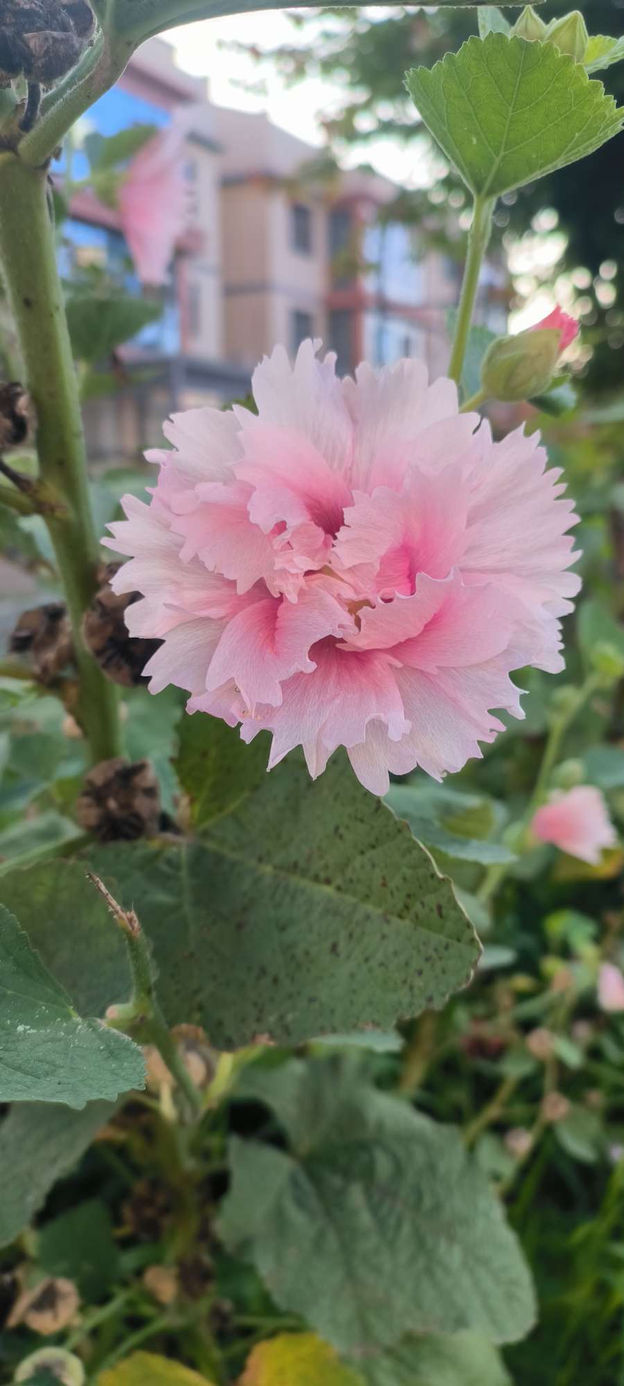 家电清洗招聘负责人·汪老师头像