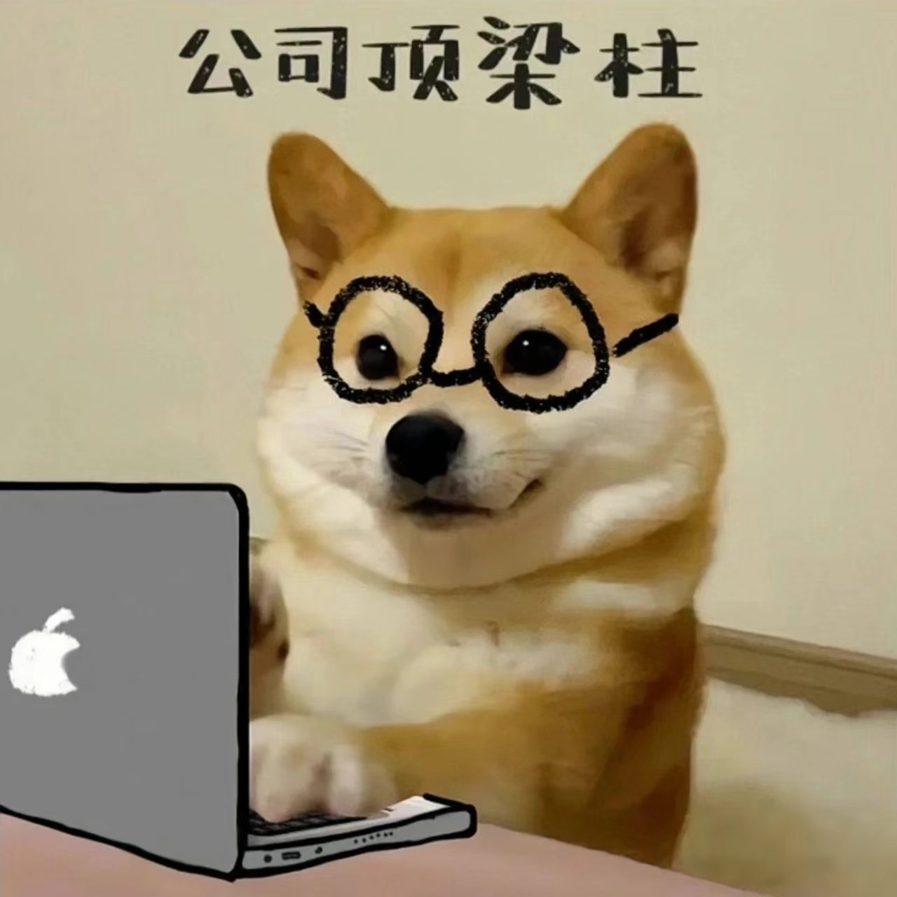 IPQC质检员招聘负责人·陶女士头像