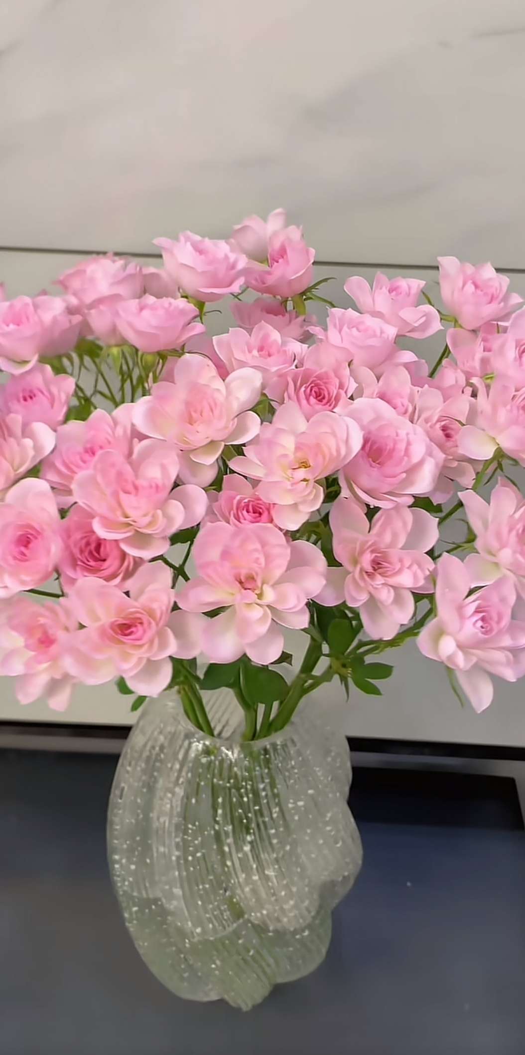 CNC操作工招聘负责人·卢小姐头像