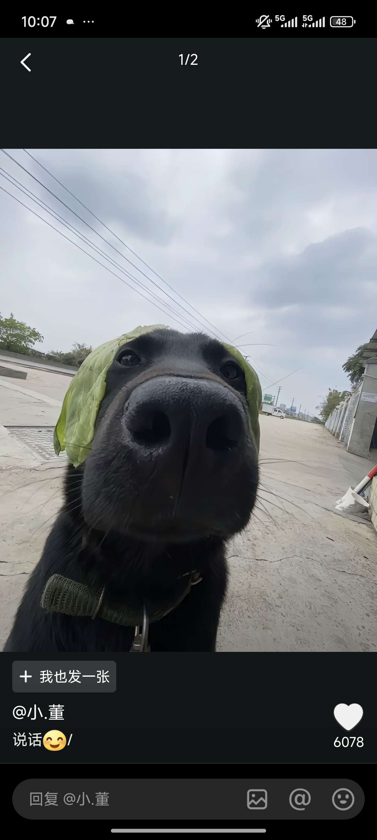 品质工程师招聘负责人·梁小姐头像