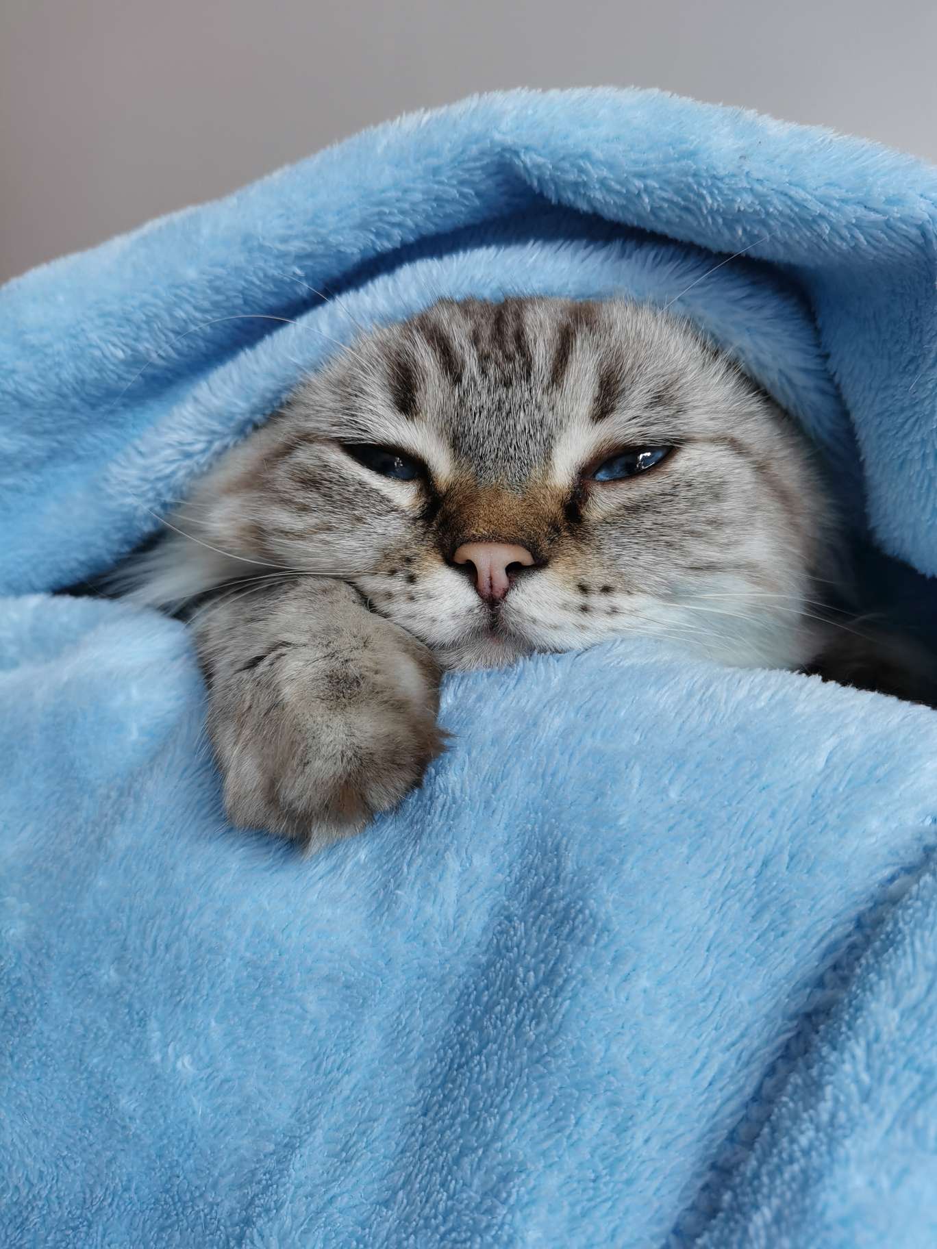 HR头像