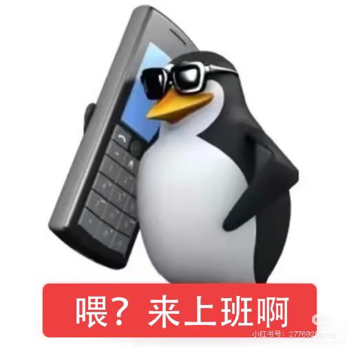 招聘HR头像