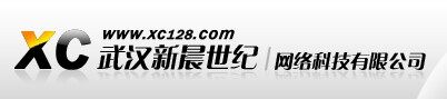 武汉新晨世纪网络科技有限公司logo