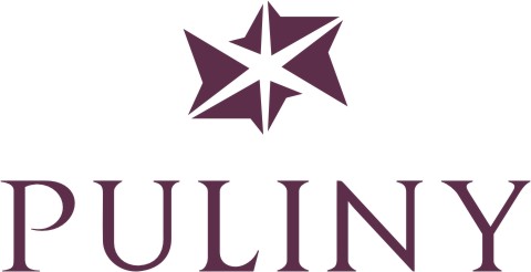 普林尼国际钻石机构招聘logo