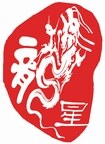 龙星信息技术招聘logo