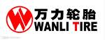 長沙市威爾特輪胎有限公司招聘logo