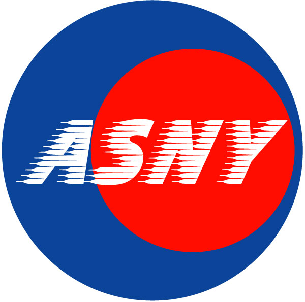东莞市万江艾思尼工艺品加工厂招聘logo