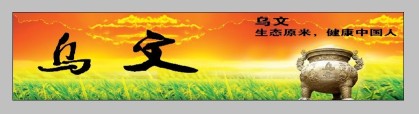 东莞市新泰粮食有限公司图3