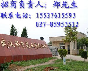 武汉鄂中药业有限公司（制药厂）招聘logo