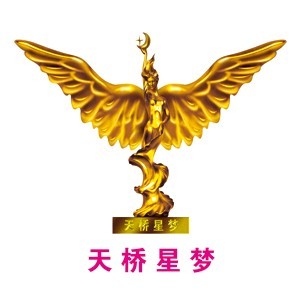 長沙星夢模特公司招聘logo