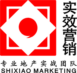 长沙实效房地产营销策划有限公司招聘logo
