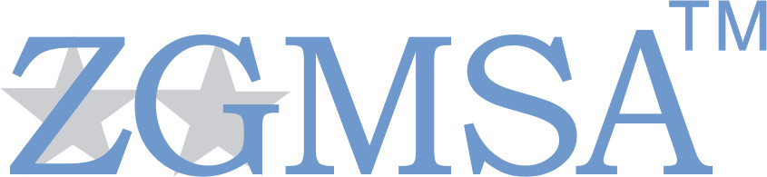 中山市美視安電子科技有限公司招聘logo