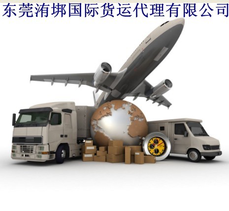 东莞洧垹国际货运代理有限公司招聘logo