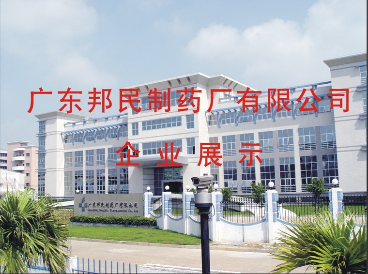 广东邦民制药厂有限公司图1