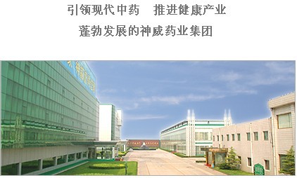 神威药业集团招聘logo