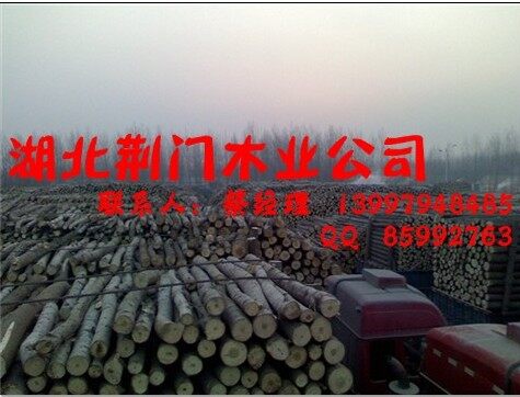 湖北荆门木业公司