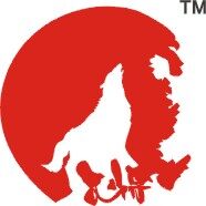 武汉思博文化传播有限公司logo