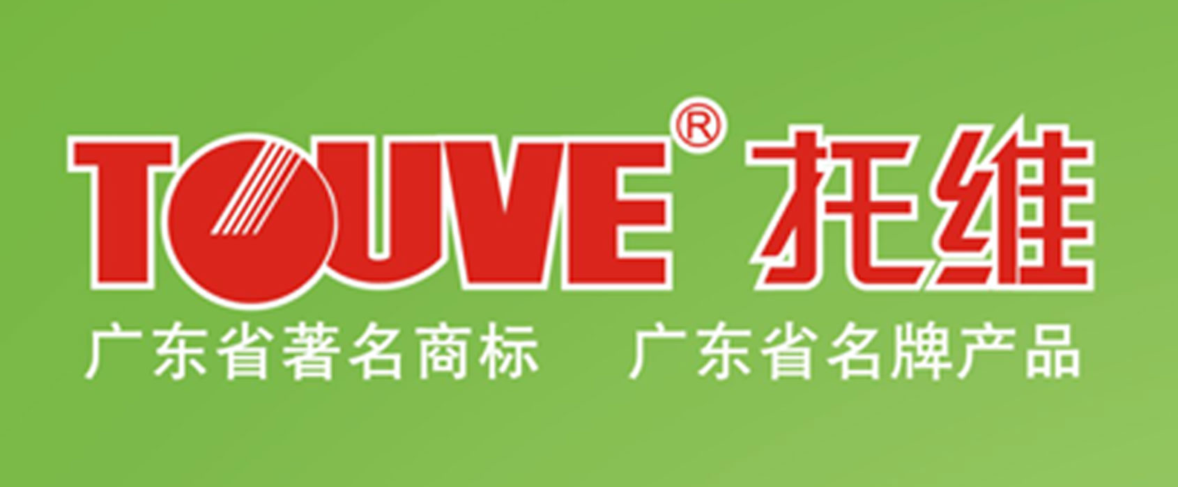 佛山市托维亮化工程有限公司招聘logo
