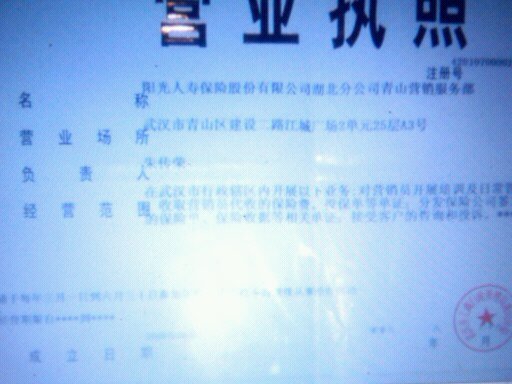 阳光人寿保险有限有限公司青山营业部招聘logo