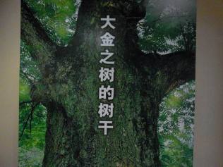东莞市中辰节能科技有限公司图4