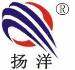 扬洋电子logo