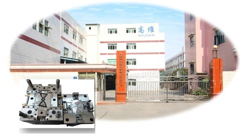 东莞市高维精密模具有限公司