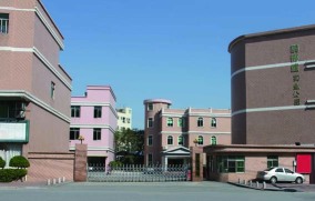 东莞市鹏博盛实业有限公司图1